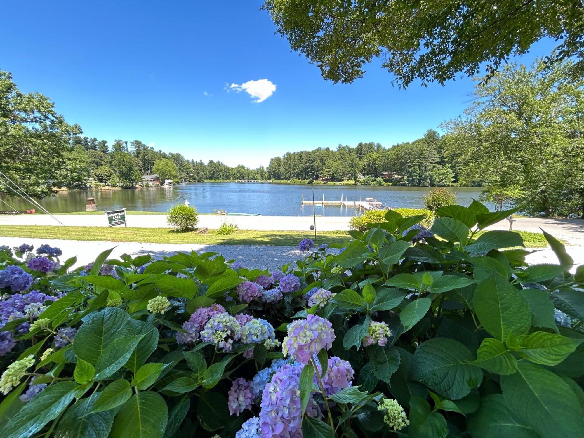 Mountain Lake Cottages ヘンダーソンビル エクステリア 写真