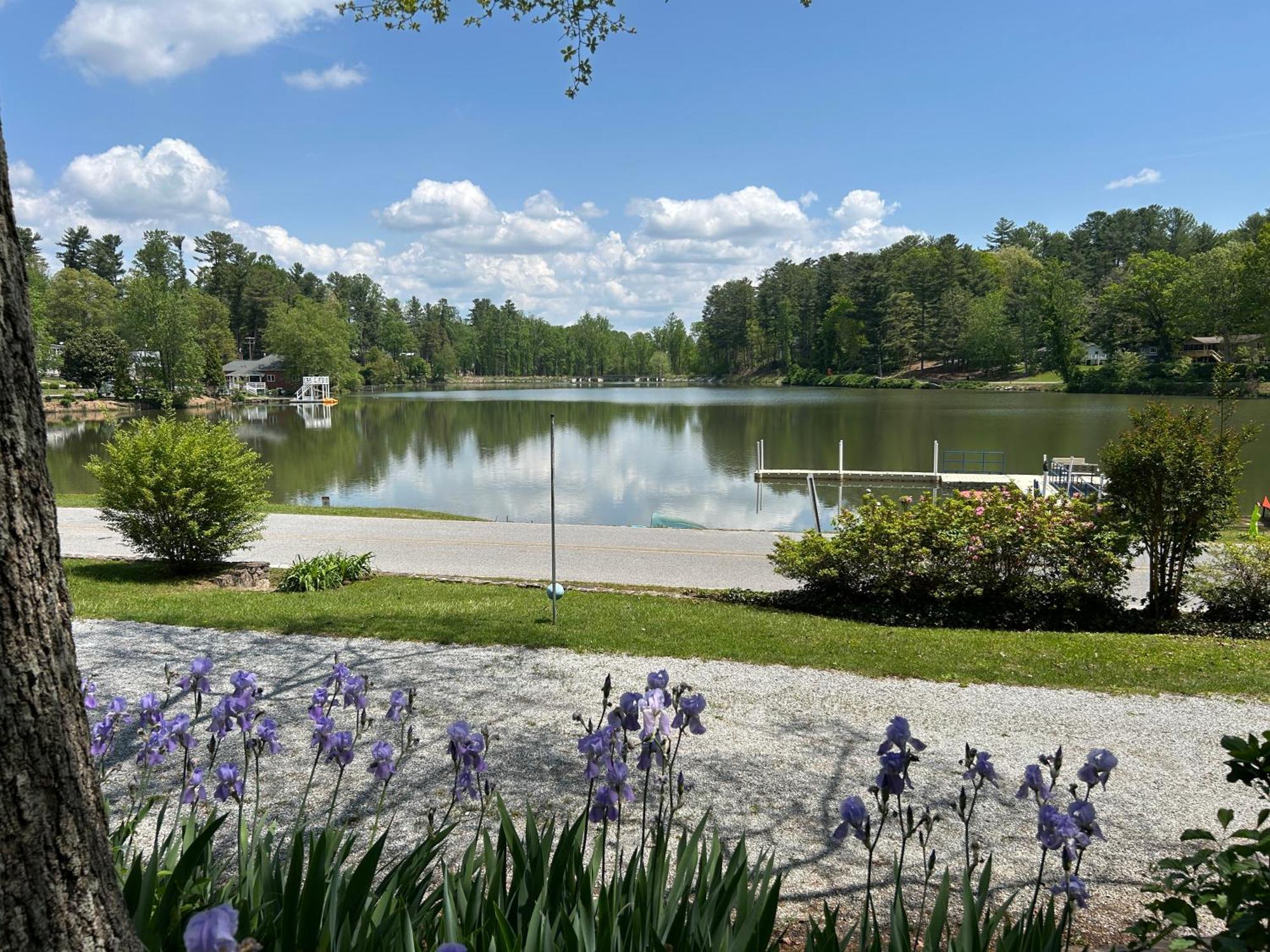 Mountain Lake Cottages ヘンダーソンビル エクステリア 写真